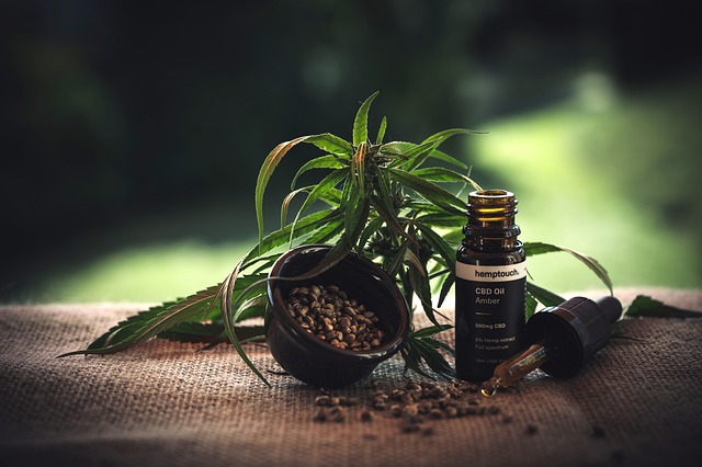 De veelzijdige wereld van CBD: feiten, mythes en toepassingen