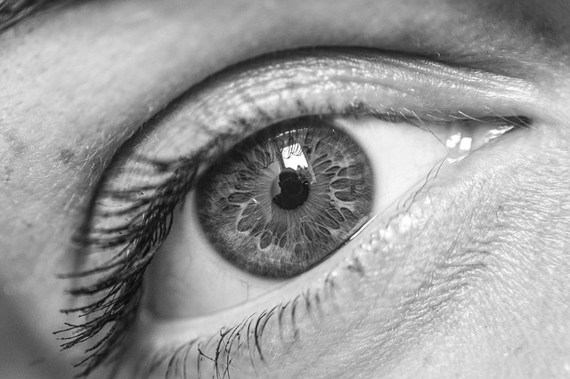 Zorg voor je ogen: essentiële inzichten in optometrie
