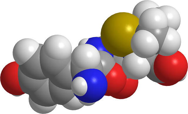 Het effect van Amoxicilline: Hoe snel werkt deze antibiotica?